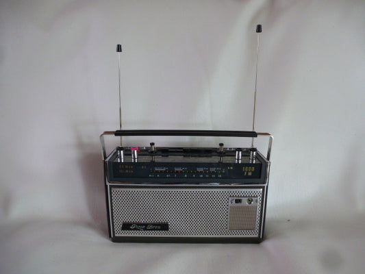 Pizon Bros 1600 FM “bluetooth” transistor radio