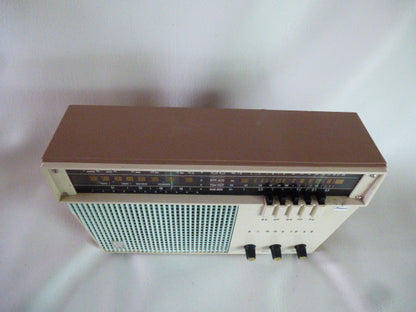 Schneider "Bluetooth" vintage tube radio