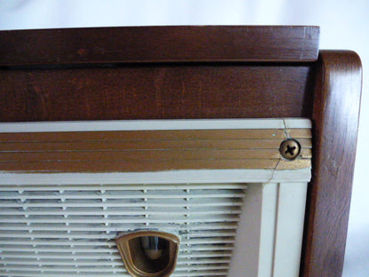 Combiné radiophono à lampes Ténor T48A "FM et bluetooth"